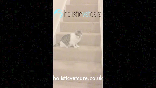 holisticvetcare.co.uk