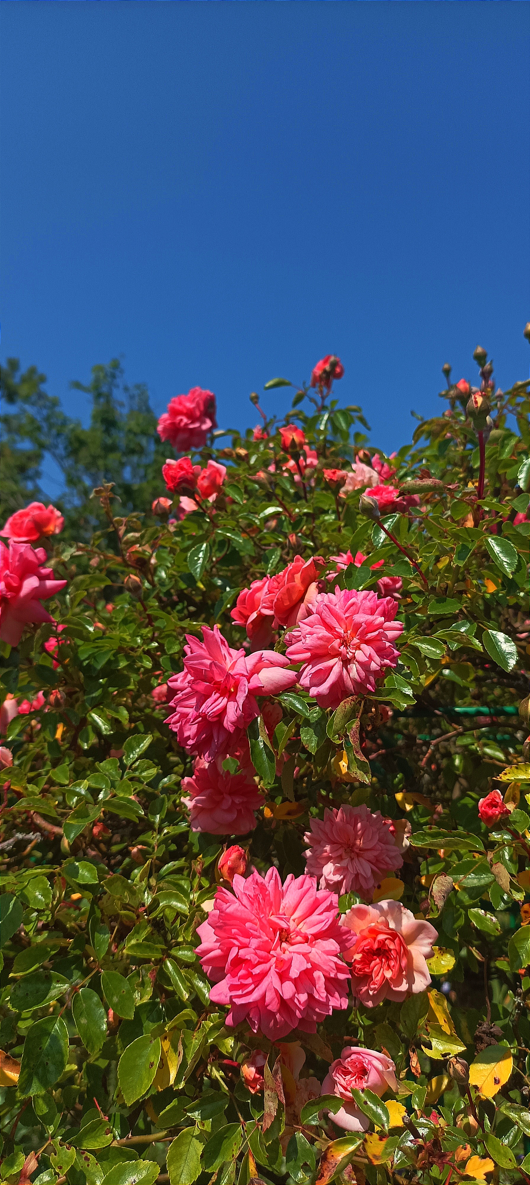 Photo n° 4 de l'avis de E. fait le 29/05/2023 à 21:25
