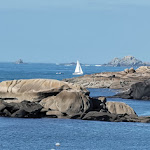 Photo n° 13 de l'avis de Michel.L fait le 02/10/2023 à 05:51 pour Plage du Coz-Pors à Trégastel