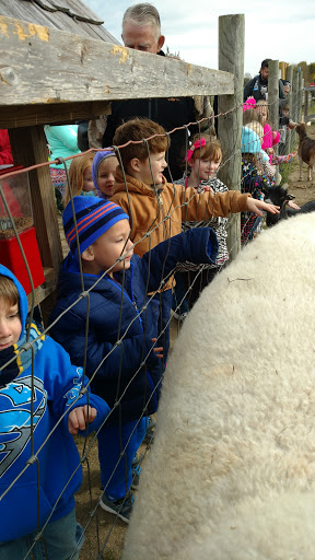 Christmas Tree Farm «Piney Acres», reviews and photos, 1115 E 1000 N, Fortville, IN 46040, USA