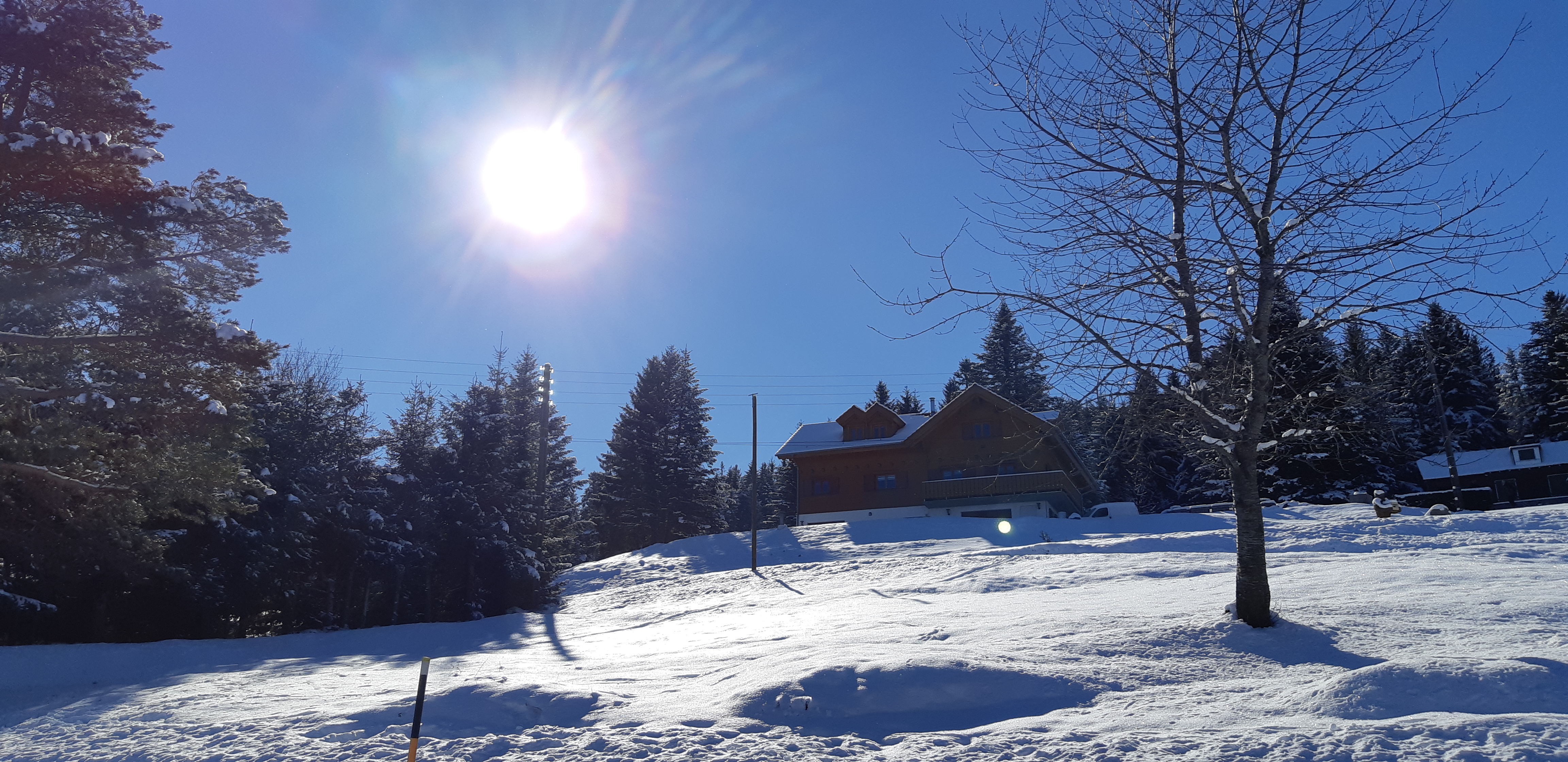 Photo n° 33 de l'avis de Patricia.t fait le 24/12/2017 à 19:48
