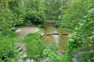 Ashwell Springs: source of the River Rhee image