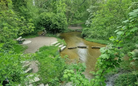 Ashwell Springs: source of the River Rhee image