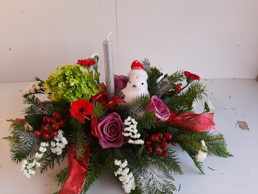 Wholesale Florist «Green Village Flowers», reviews and photos, 5457 Keystone Ct, Plainfield, IL 60586, USA