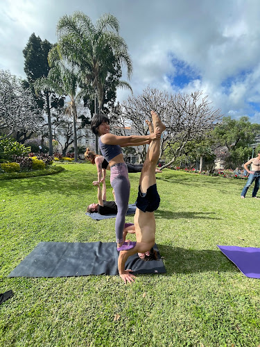 Avaliações doAcroYoga spot em Funchal - Academia