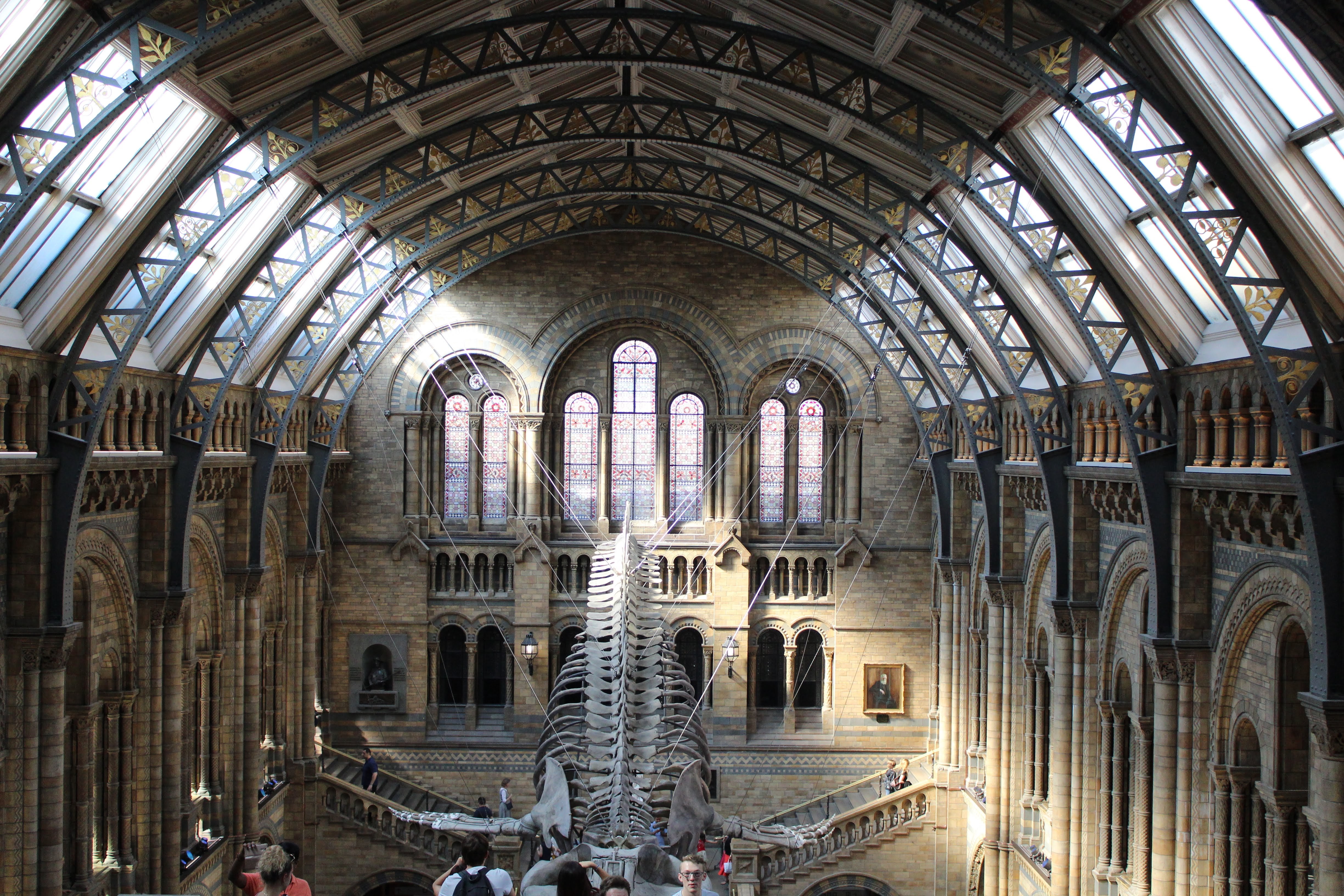 Picture of a place: Natural History Museum