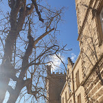 Photo n°14 de l'avis de Uwe.h fait le 06/02/2022 à 11:30 sur le  Hotel Schloss Weitenburg Starzach à Starzach