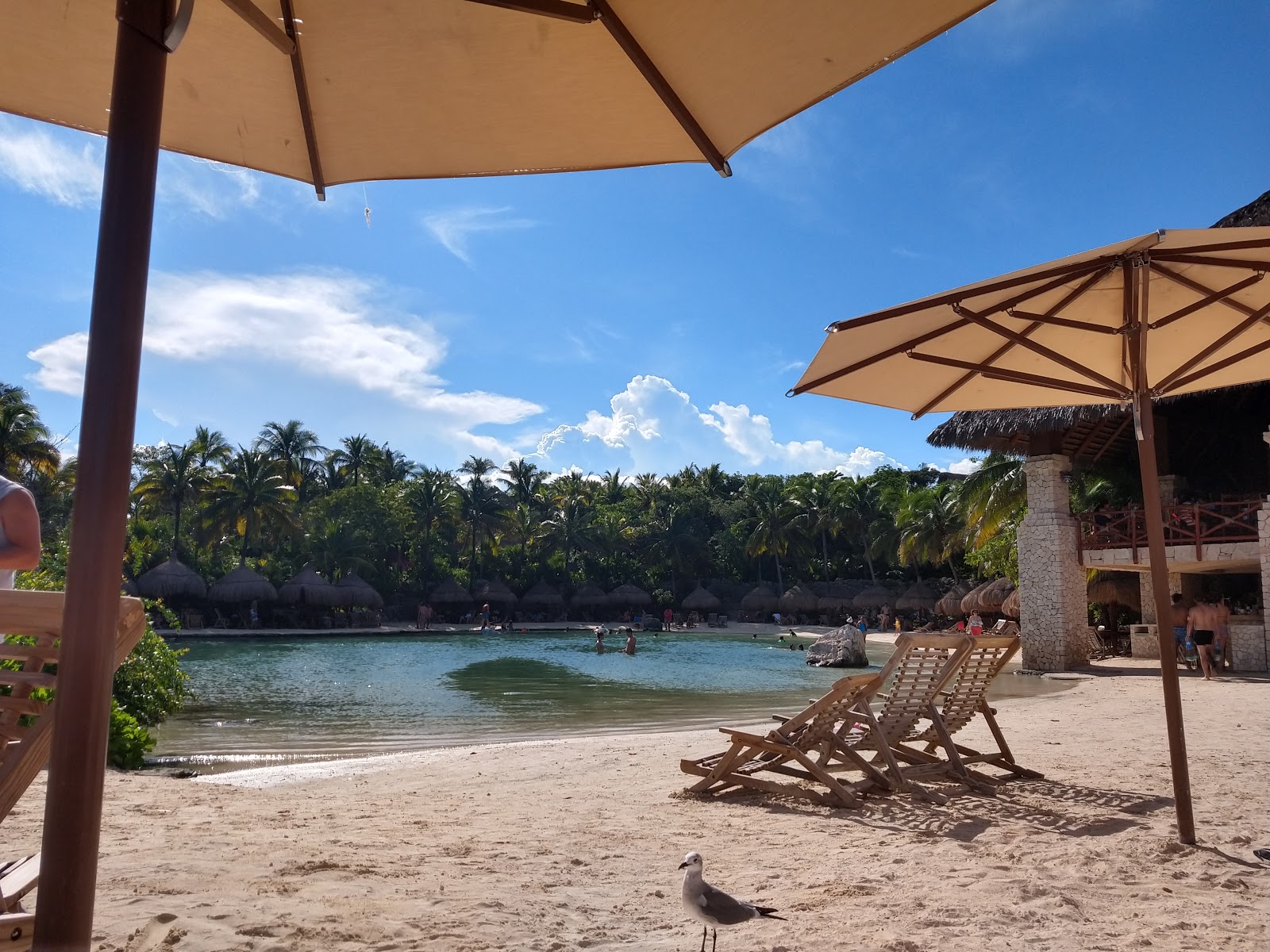 Photo of Delphinus Xcaret beach with bright sand surface