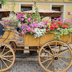 Photo n°1 de l'avis de Ines.e fait le 01/07/2022 à 09:21 sur le  Österreich am Markt à Gera