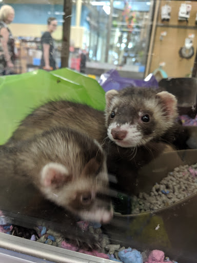 Pet Supply Store «Petco Animal Supplies», reviews and photos, 1215-1309 NJ-33 #1, Hamilton Township, NJ 08690, USA