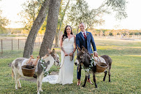 Love Punch Planning LLC - Photo 6 - Car repair in , Killeen