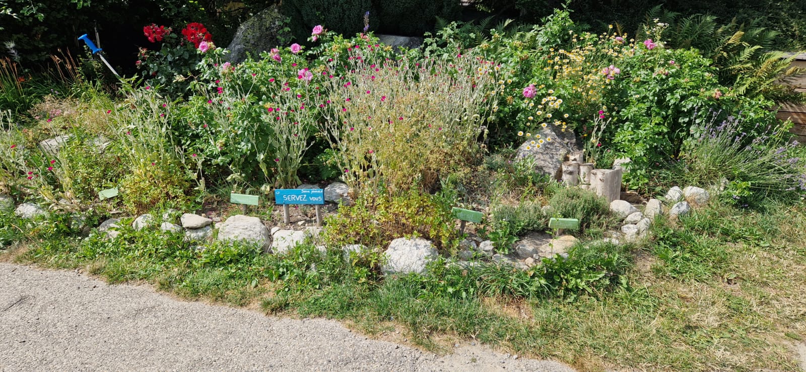 Photo n° 3 de l'avis de sy.i fait le 25/07/2023 à 12:02