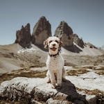 Photo n°1 de l'avis de Jennifer.t fait le 16/07/2020 à 22:47 sur le  Hotel Rommisa à Vila di Sopra
