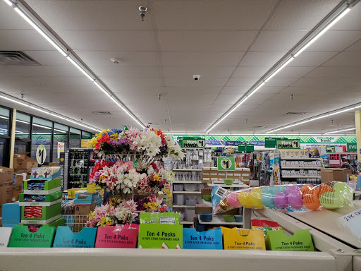 Dollar Store «Dollar Tree», reviews and photos, 528 North Ave, Glendale Heights, IL 60139, USA