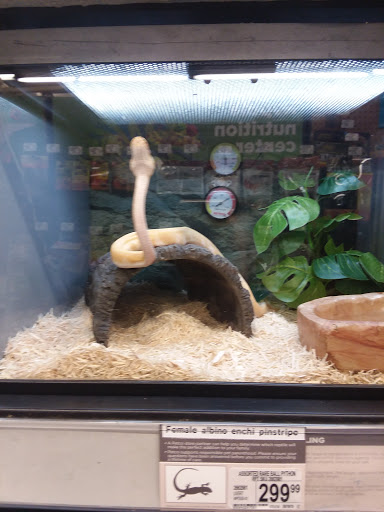 Pet Supply Store «Petco Animal Supplies», reviews and photos, 320 S Lycoming Mall Rd, Muncy, PA 17756, USA