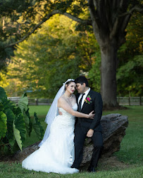 Brass Monkey Photography - Photo 6 - Car repair in , Asheville