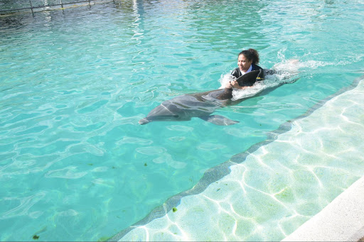 Tour Agency «Miami Swim With Dolphin Tours», reviews and photos, 247 SW 8th St, Miami, FL 33130, USA