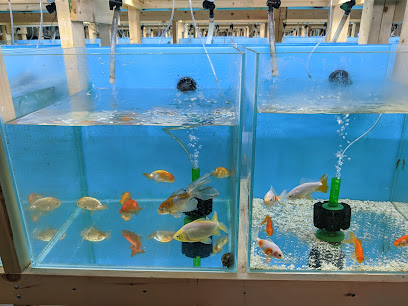 April's Aquarium