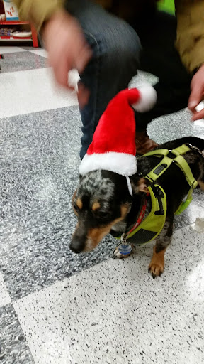 Pet Supply Store «Petco Animal Supplies», reviews and photos, 4209 Wheaton Way, Bremerton, WA 98310, USA