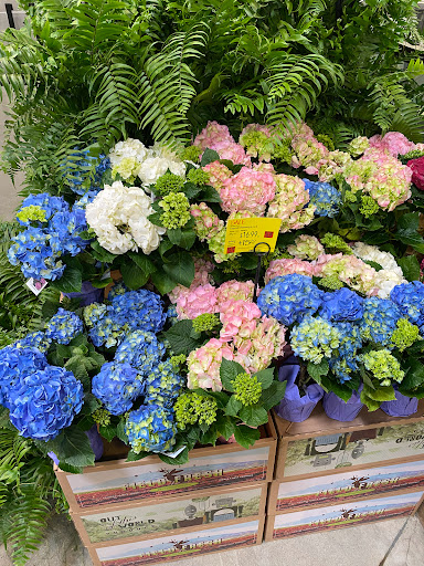 Grocery Store «Whole Foods Market», reviews and photos, 1 Ridge Hill Boulevard, Yonkers, NY 10710, USA