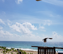 House of the Sea photo