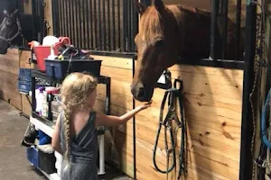 Barbie's Jewels Horsing-Around Therapeutic Ranch image