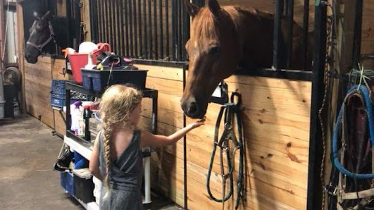 Barbie's Jewels Horsing-Around Therapeutic Ranch 6230 Melaleuca Rd, Southwest Ranches, FL 33330