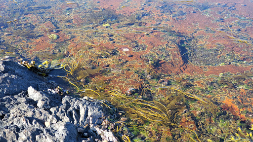 Park «Chandler Hovey Park», reviews and photos, Lighthouse Ln, Marblehead, MA 01945, USA