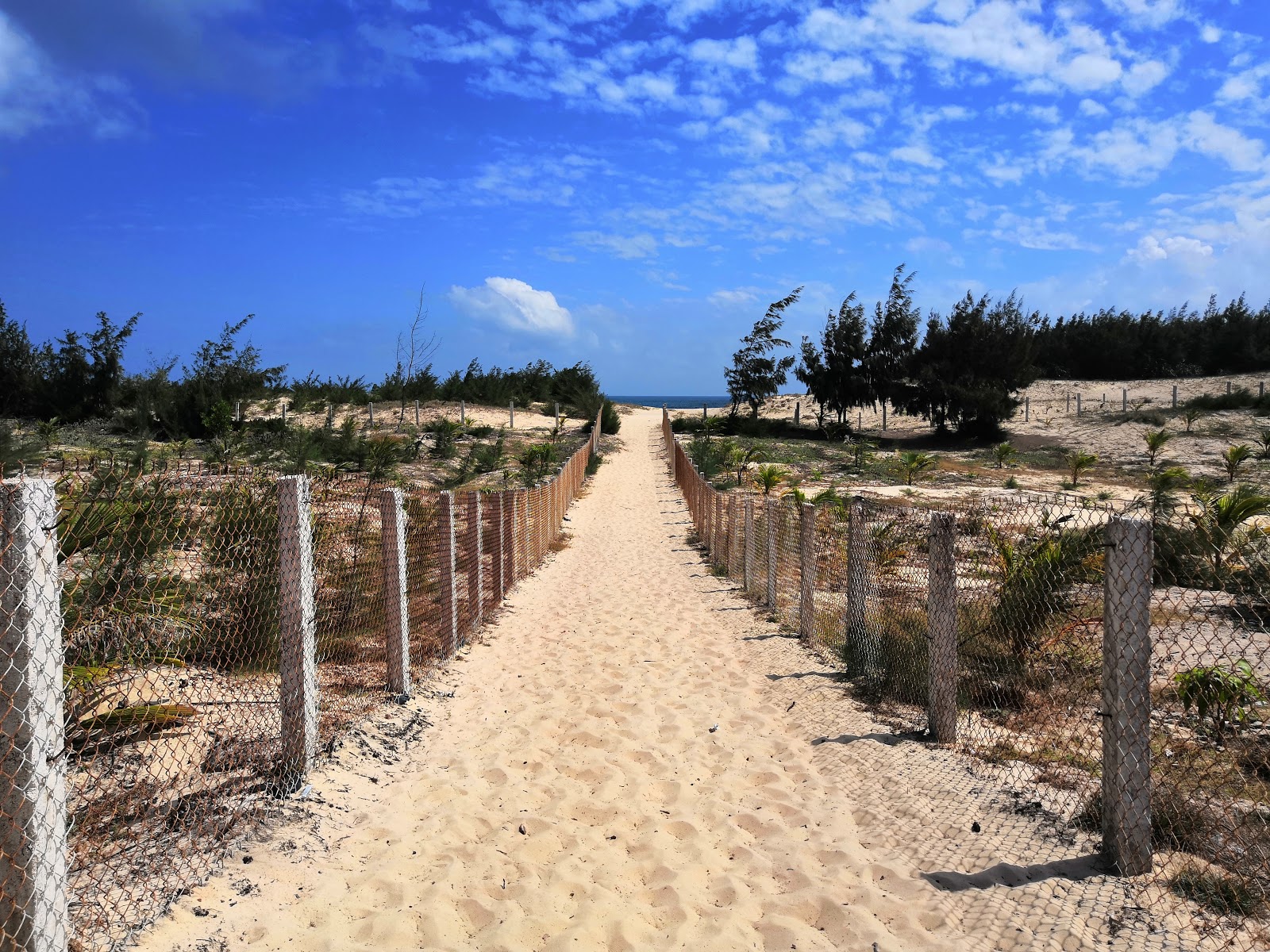Phu Thuong Beach photo #8