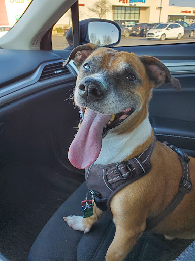 Pet Supply Store «PetSmart», reviews and photos, 27161 Crossroads Pkwy, Rossford, OH 43460, USA