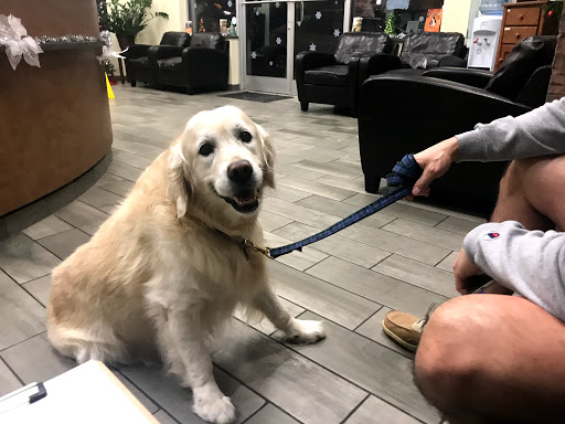 Carolina Ranch Animal Hospital & Resort image