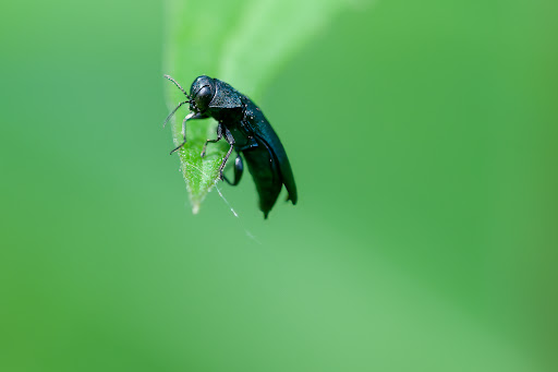 Park «Colby Lake Park», reviews and photos, 9715 Valley Creek Rd, Woodbury, MN 55125, USA