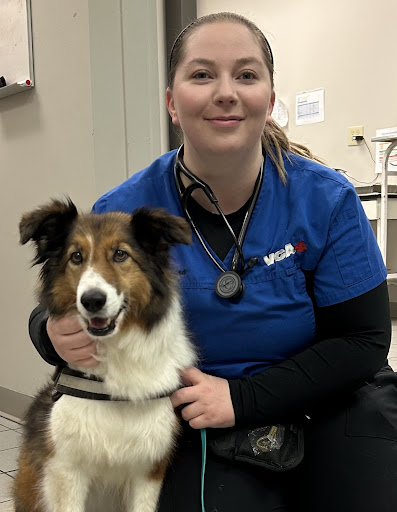 VCA Canada Bells Corners Animal Hospital image