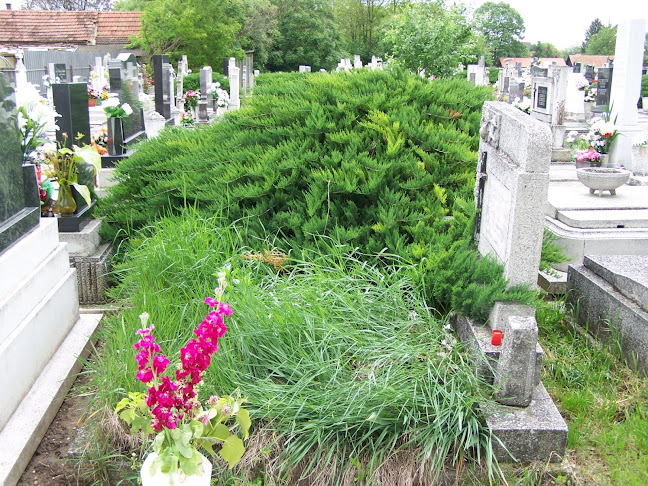 Értékelések erről a helyről: Szent kereszt temető, Jászfényszaru - Temetkezési vállalkozás