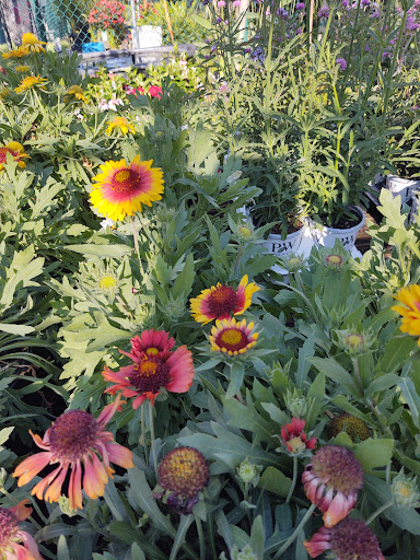 Hardware Store «Proctor Ace Hardware», reviews and photos, 1281 Atlantic Blvd, Neptune Beach, FL 32266, USA