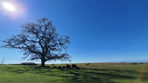 Nature Preserve «North Table Mountain Ecological Reserve», reviews and photos, 2488 Cherokee Rd, Oroville, CA 95965, USA