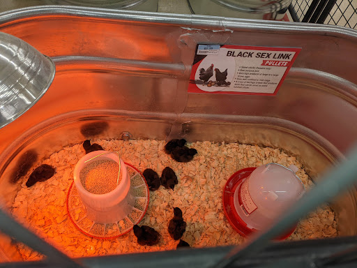 Home Improvement Store «Tractor Supply Co.», reviews and photos, 2375 Pleasant St, Noblesville, IN 46060, USA