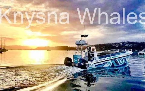 Ocean Odyssey Whale Watching Knysna image
