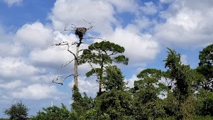 Anclote River Park - photo 18
