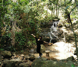 Kathu Waterfall Bungalow photo