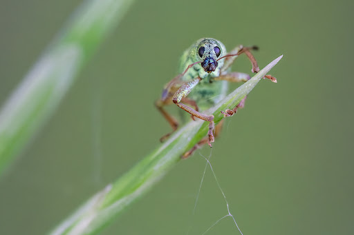 Park «Colby Lake Park», reviews and photos, 9715 Valley Creek Rd, Woodbury, MN 55125, USA