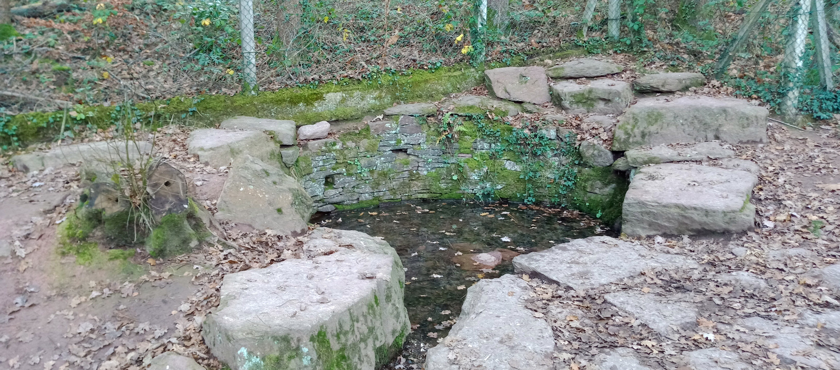 Photo n° 7 de l'avis de Thierry.e fait le 19/12/2021 à 15:02
