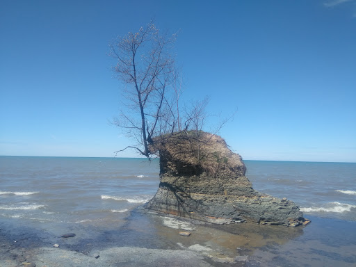 Campground «Sheridan Bay Park», reviews and photos, 3193 Lake Shore Dr E, Dunkirk, NY 14048, USA