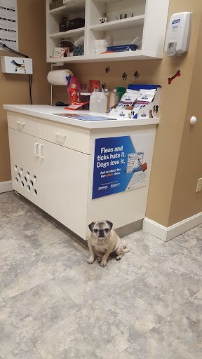 Oceanside Animal Hospital image