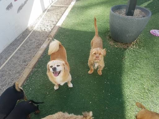 Kennel «Old Farm Pet Resort», reviews and photos, 3968 S 200 E, Salt Lake City, UT 84107, USA