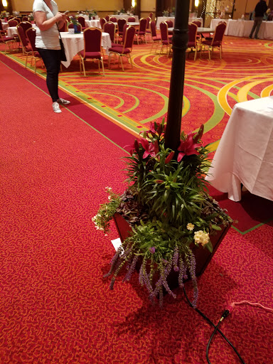 Florist «Mint Julep Flower Shop», reviews and photos, 808 5th St, Coralville, IA 52241, USA