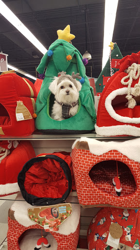 Department Store «T.J. Maxx and HomeGoods», reviews and photos, 7349 Lemont Rd, Downers Grove, IL 60516, USA