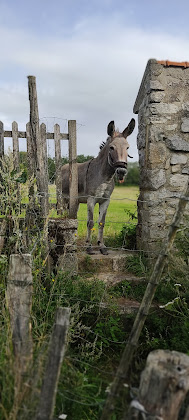 Photos des visiteurs Chambre d'hôtes Domaine de Scipion 60620 Rosoy-en-Multien
