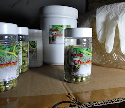 Jual Beli Botol photo