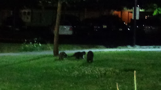 Homeless Shelter «My Fathers House», reviews and photos